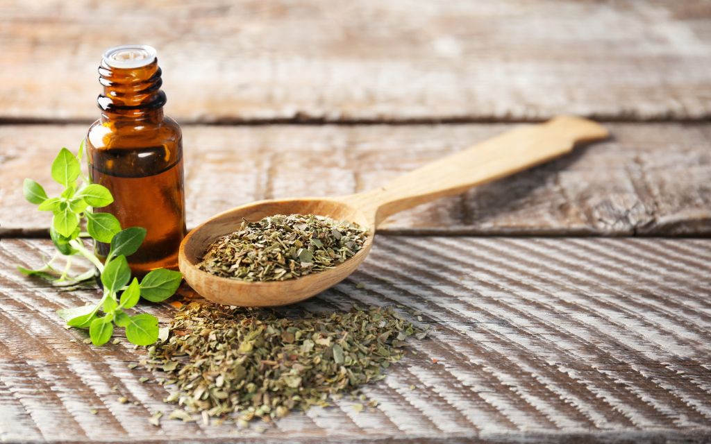 Oregano olej 2 (1024 x 640 px)